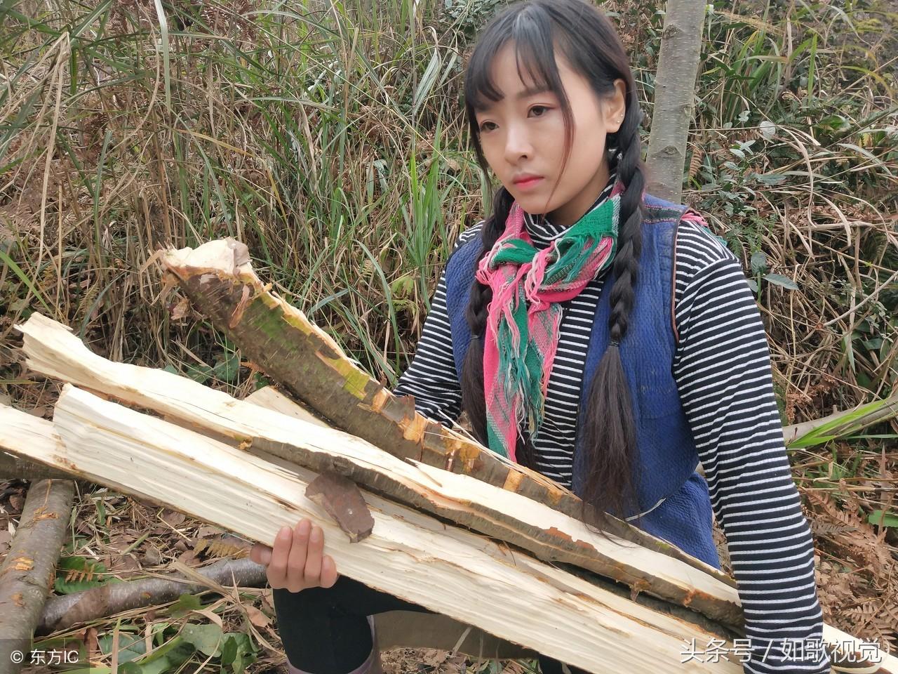 彝族女孩考620分淡定喂猪，生活的坚韧与梦想的绽放