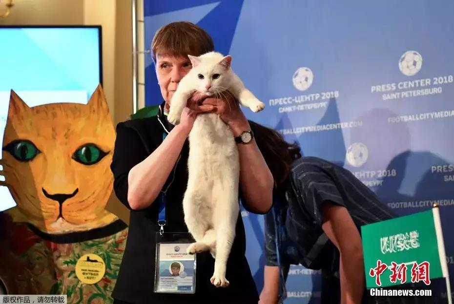 猫和老鼠vs足球视频直播，当经典动画遇上世界杯，我竟然刷了一整天