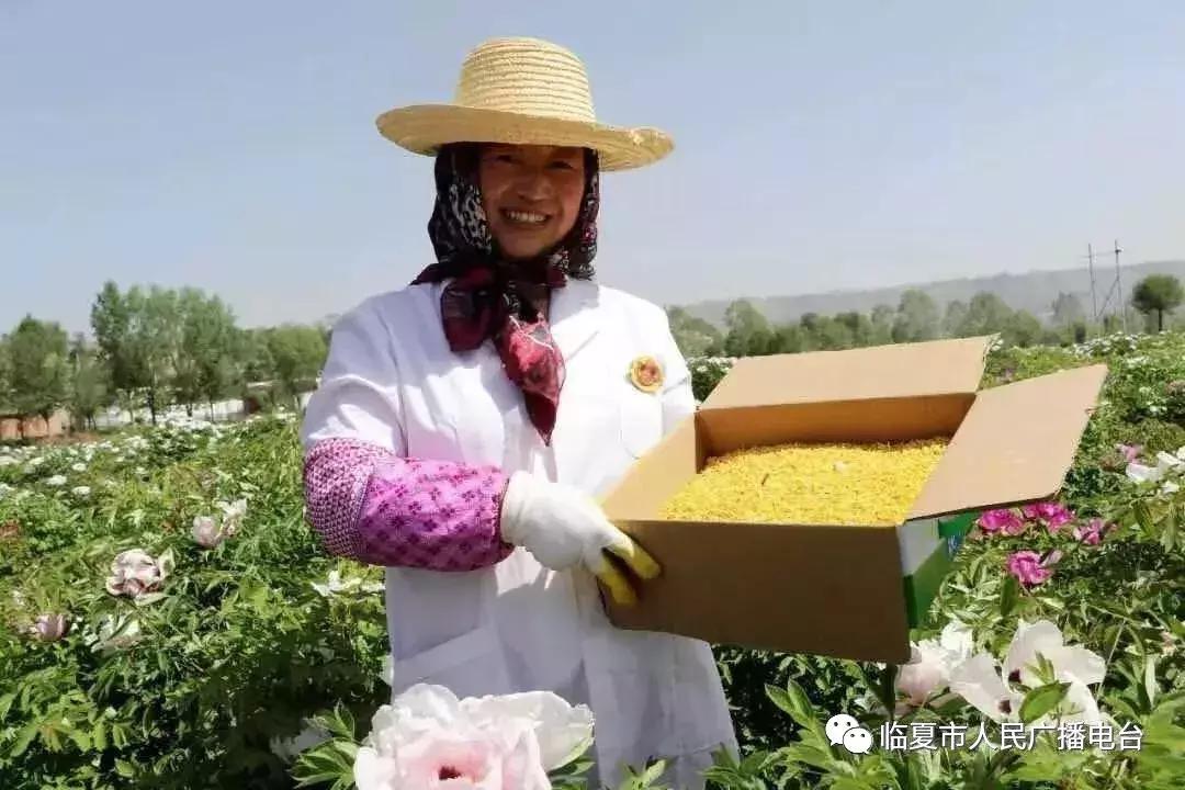迪庆 vs 临夏篮球直播视频，一场高原与河湟之间的热血对决
