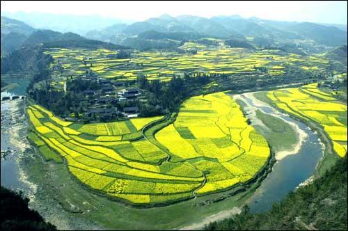 趴在手机里看两座城，贵州vs山东夜景视频直播，到底谁更亮？
