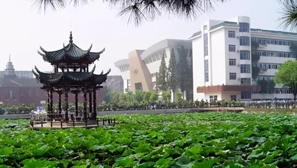 邵东vs怀化篮球直播视频，一场湘中球场的烟火气