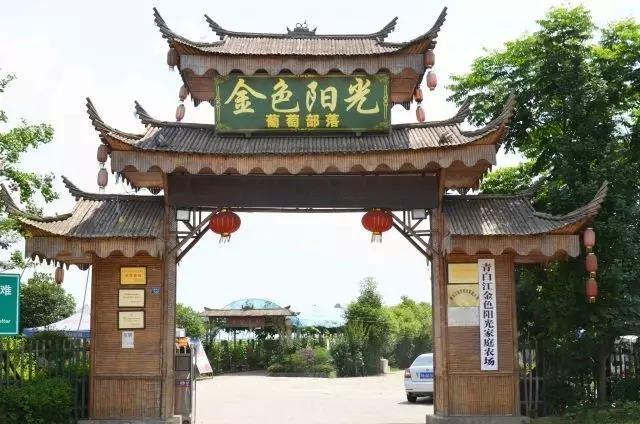 宜宾vs绵阳篮球直播视频，一场川南vs川北的热血对决，你错过了吗？