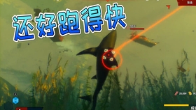 虎鲸vs食人鲨视频直播，海洋霸主的真实对决，谁才是王者？