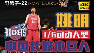 山东 vs 清华篮球直播视频，一场青春与热血的野路子对决