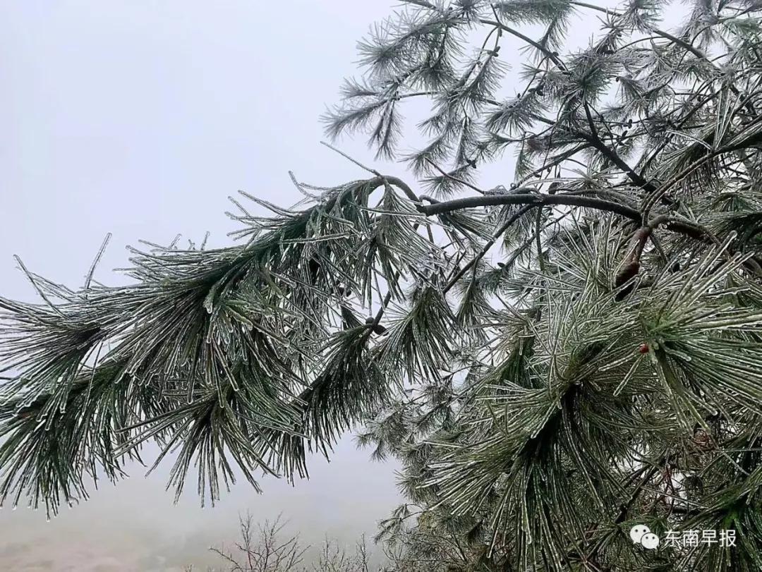 莆田vs南平篮球直播视频,一场闽地篮球的热血对决,你看懂了吗? 莆田vs南平篮球直播视频,一场闽地篮球的热血对决,你看懂了吗?