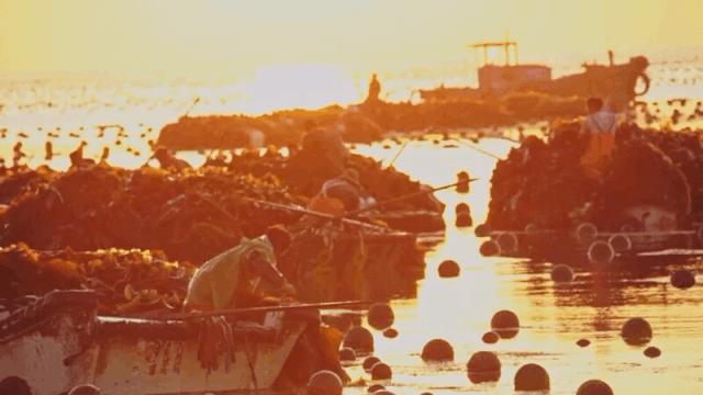青岛vs威海夜景直播视频，两座海滨城市，谁的夜晚更撩人？