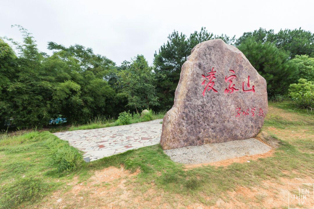 武汉vs清华直播视频回放，一场让我边看边拍大腿的校园对决
